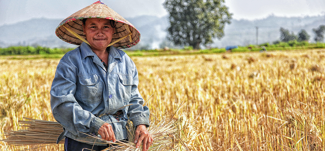 Man in conical straw hat stands in field holding a bundle of harvested wheat.