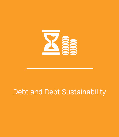 Debt and Debt Sustainability