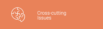 Cross-cutting Issues