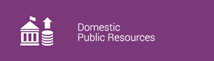 Domestic Public Resources
