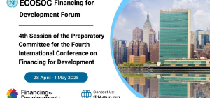 FFD Forum and 4th PrepCom
