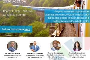 Leveraging Private Investment for LDC Graduation and the 2030 Agenda