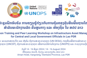 UN IAM Banner for Workshop