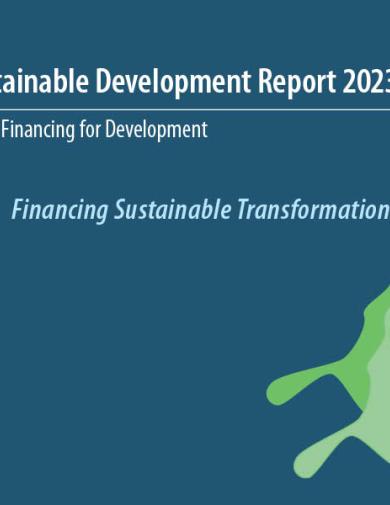 2023 Financing for Sustainable Development Report